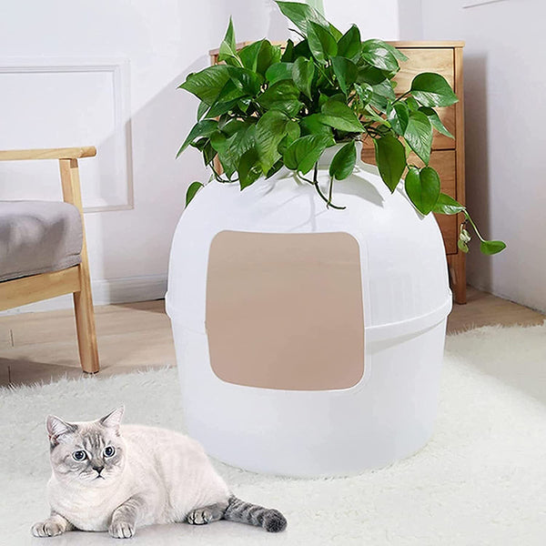 Cat house litter box